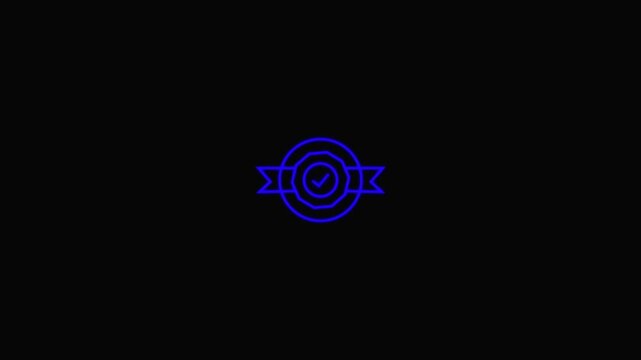 shield animated icon and checkmark  icon .