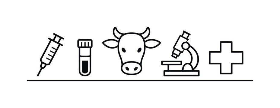 Veterinary blood sampling and laboratory diagnostics for accurate disease detection and health monitoring in livestock management, syringe, blood vial, cow head, microscope, and