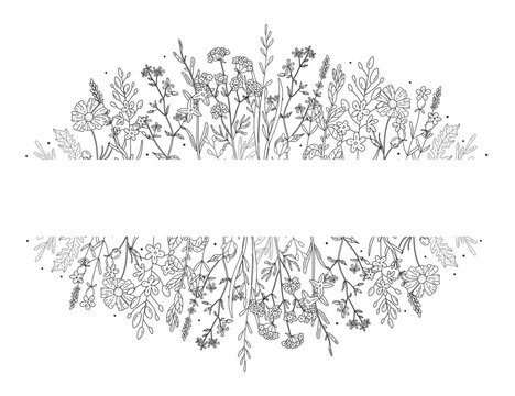 Hand drawn wildflower split border frame with top and bottom botanical bands and blank center space for text. Line art meadow design for wedding cards, invitations, logos and nature stationery project