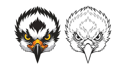 Fototapeta premium Eagle Head Illustration Black White Colorful.