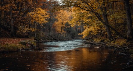 Obraz premium Rustic forest riverside glowing with autumn season hues