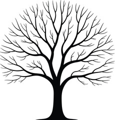 Obraz premium Bare tree silhouette