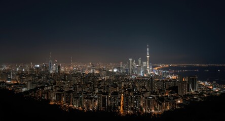Fototapeta premium Nocturnal panoramic view of coastal city with tall shining tower silhouettes