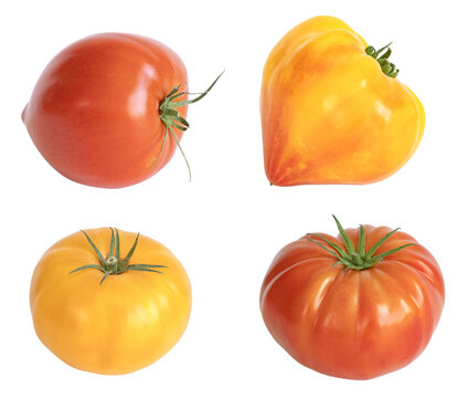 Diff&eacute;rentes vari&eacute;t&eacute;s de tomates	