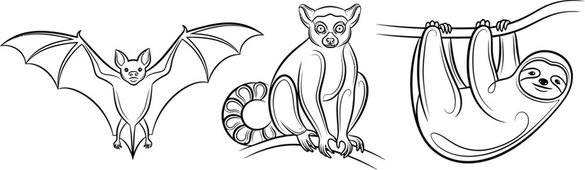Fototapeta premium A delightful collection of three distinct cartoon animals, featuring a flying bat, a sitting lemur, and a hanging sloth, presented as simple black outline illustrations for children's coloring.