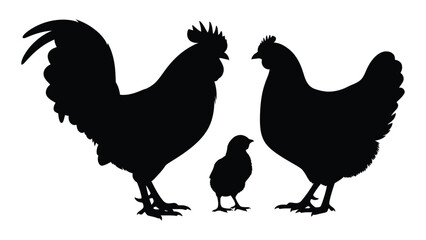 A rooster and a hen with a chick standing together © SILHUETTECHEMBER