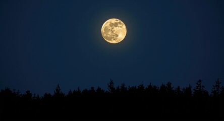 Fototapeta premium Large bright full moon above a night forest scene with ample copy space