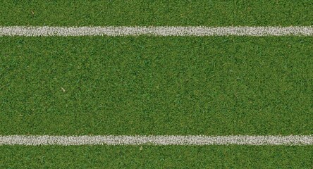 Obraz premium Outdoor cricket boundary line with grass texture