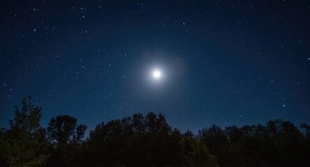 Fototapeta premium Natural environment glowing under moonlight against broad starry sky backdrop