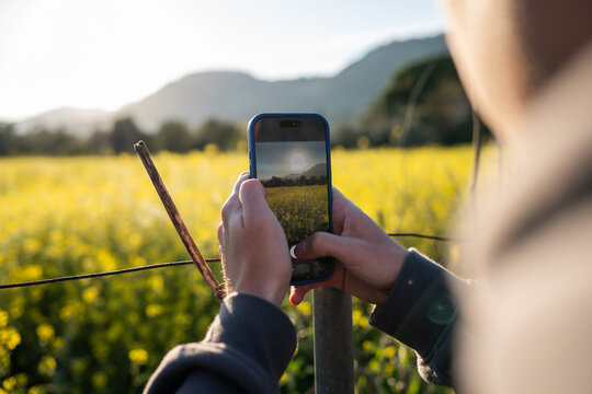 Close up of hands holding a smartphone to take a photo of a yellow flower field at sunset. POV perspective of mobile photography in nature. Scenic landscape, technology, creative blogging.