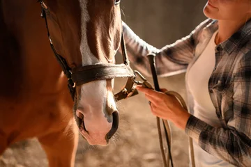 Fotobehang Paardrijden Woman shows concern by petting horse in stable, adjusting its bridle. Concept equestrian sport, horse care.  © GRON777
