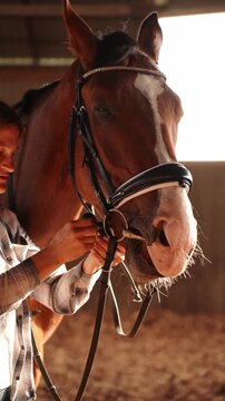 Woman shows concern by petting horse in stable, adjusting its bridle. Concept equestrian sport, horse care. 