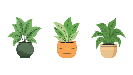 Fototapeta premium Collection of Flat Vector Potted Houseplants with Lush Green Foliage for Home Decor