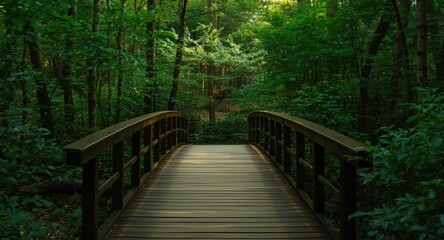 Fototapeta premium Natural morning light reveals wooden footbridge surrounded by dense green foliage in forest copy space