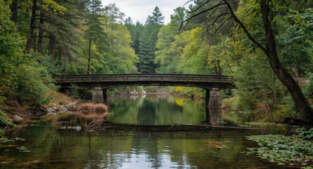 Fototapeta premium An old bridge crossing gentle waters in a serene wilderness backdrop with copy space