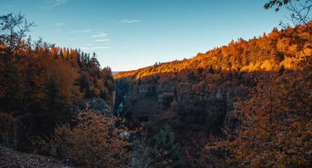 Fototapeta premium Clear autumn afternoon with a prominent gorge and glowing fall-colored forest