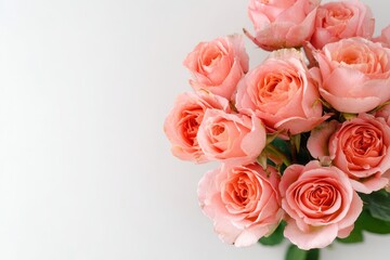 Fototapeta premium Top-down photograph of pink coral roses, clean white backdrop and ample copy space for birthday or Mother's Day card