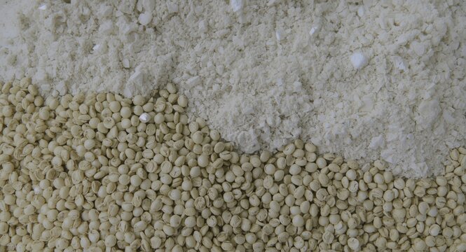 Powdered dicalcium phosphate as a phosphorus source in animal feed formulations