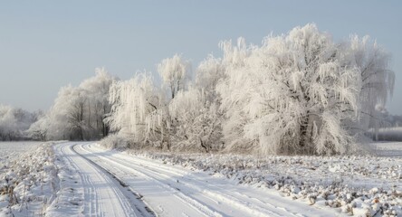 Fototapeta premium Snow blanketed rural landscape with icy trees and a dirt trail highlighting winter preservation