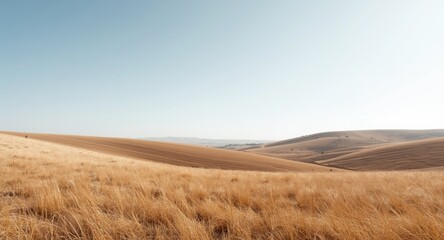 Fototapeta premium Quiet minimalist view of rolling stubble-covered hills below a clear bright sky