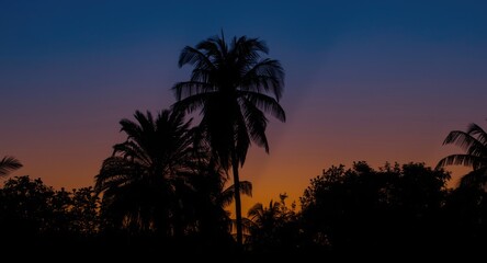 Obraz premium Beautiful evening sky featuring palm tree silhouettes at sunset