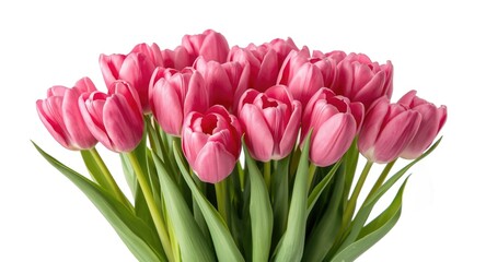 Naklejka premium Fresh pink tulip bouquet showcasing vibrant flowers against white background