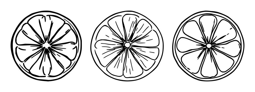 Lemon slice set with bright, simple line art citrus icon featuring lemon, citrus, fruit with minimal outline and clean design