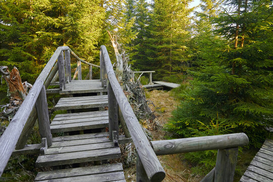 Blick auf den Moorweg bei dem Torfhaus im Harz, Niedersachsen, Deutschland.