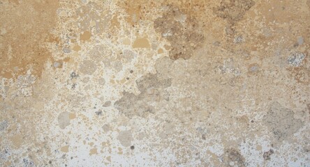 Obraz premium Porous building facade affected by efflorescence salt stains and mineral residue