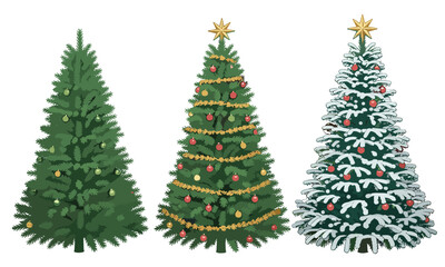 Fototapeta premium Three Decorated Christmas Trees on White Background