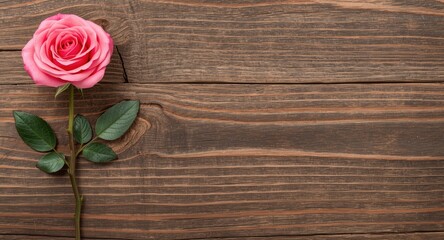 Obraz premium Fresh pink rose against a brown wood grain background featuring copy space
