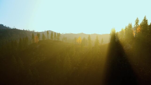 Sunlight spilling over conifer ridge, warm glow illuminating distant hills, soft mist drifting across valleys, cinematic golden hour mood with expansive horizon