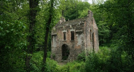 Obraz premium Dilapidated ancient castle hidden within lush woodland greenery