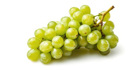 Fototapeta premium Ripe green grapes resting on a bright white background
