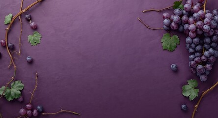 Fototapeta premium Matte grape themed background with natural vine elements and copy space