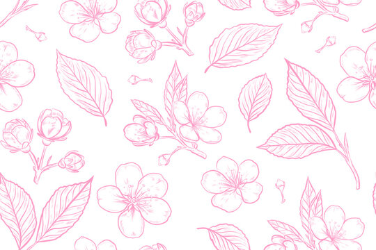 Seamless Pink Cherry Blossom Floral Pattern, Hand Drawn Botanical Line Art Background, Elegant Spring Flowers Repeat Design for Fabric, Wallpaper, Wrapping Paper, Wedding Invitations and Branding