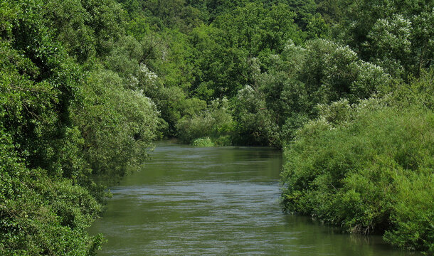 Auwald an der Ruhr bei Arnsberg, Nordrhein-Westfalen, Deutschland, 