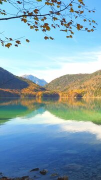 Peaceful alpine forests around Schwangau