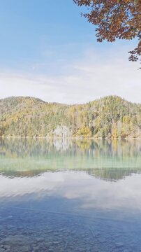 Tranquil wilderness stream with clear water flowing over rocks surrounded by soft autumn foliage