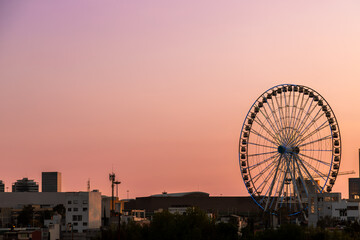 Silhouette of giant Ferris wheel Estrella de Puebla illuminated with blue lights against vibrant pink and orange sunset sky over modern city skyline in Puebla, Mexico © simonmayer