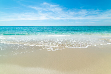 Fototapeta premium Beach with turquoise water and white sand under a blue sky in Sardinia