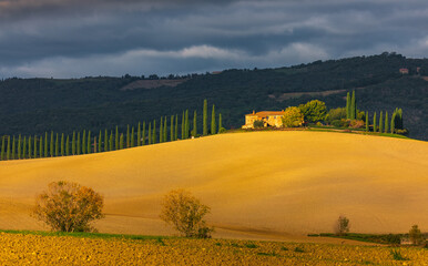 Naklejka premium Tuscan farmhouse with cypress trees on rolling hills of Val d'Orcia, Italy.