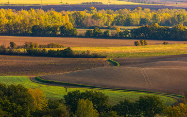 Naklejka premium Tuscan countryside with winding path among autumn fields, Italy.