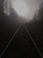 tory kolejowe w lesie w mgle © matesiak