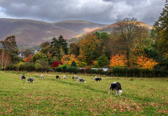 Fototapeta premium Beautiful scenery of Keswick town with mountains in England, UK