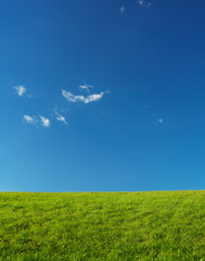Grassland Landscape Under Blue Sky