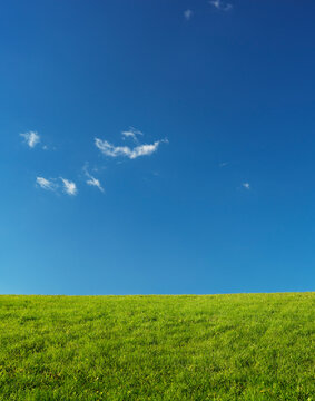 Grassland Landscape Under Blue Sky