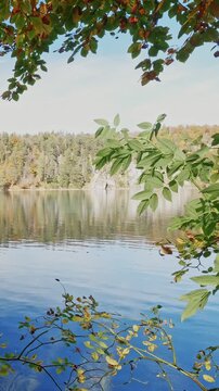 Quiet autumn stream scene with gentle water flow and moss covered stones in nature