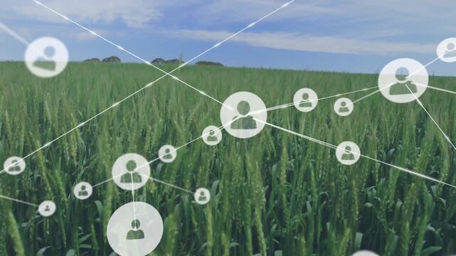 User profile icons floating over wheat field in flat design, showing glowing network connectivity