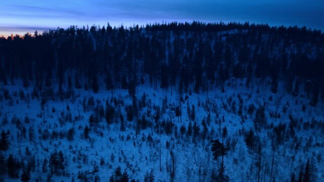Mountain covered with snow and scarce pine tree woods. Sunset in Lapland, Finland from drone.